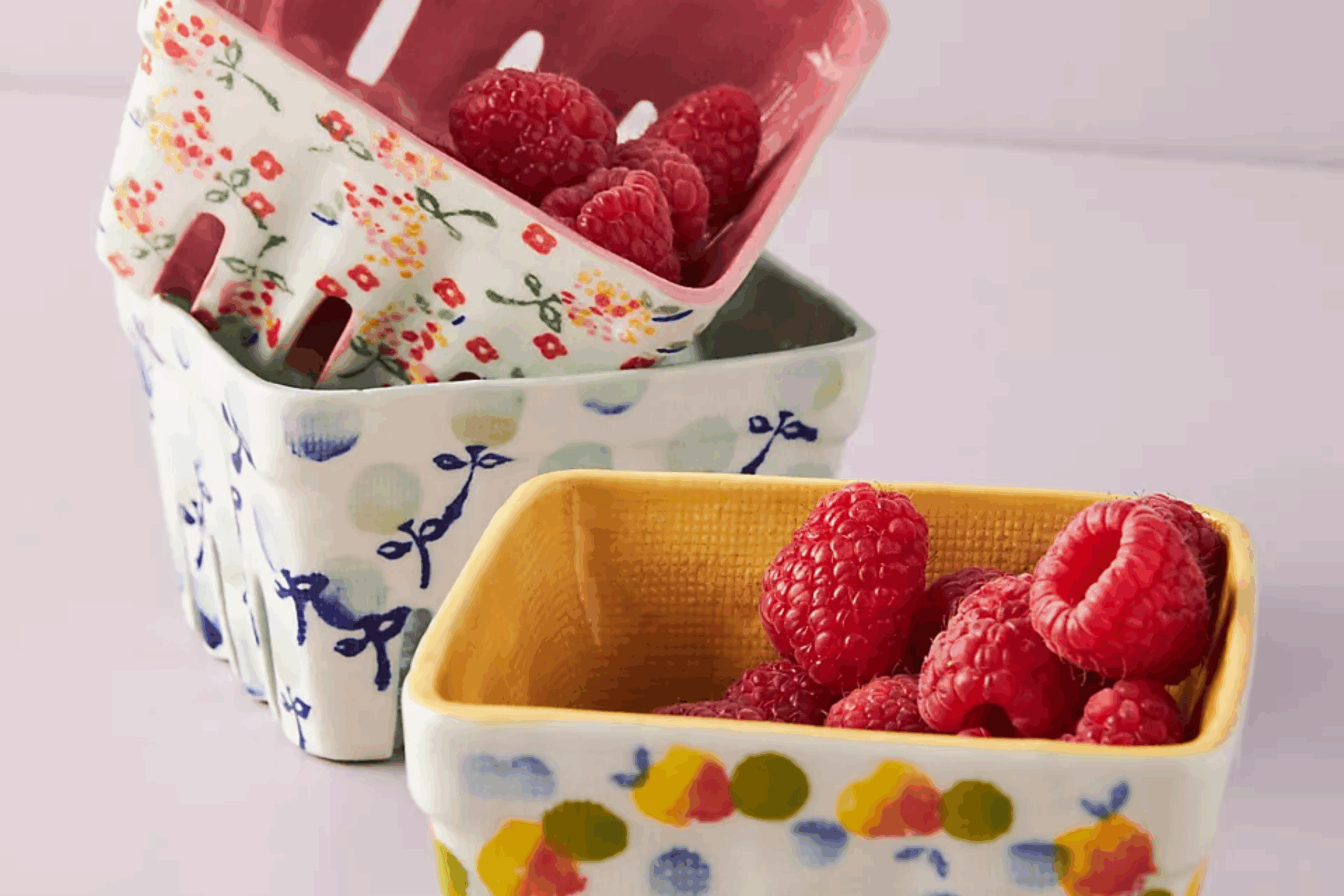 Why Everyone Is Obsessed with Ceramic Berry Containers (And Should You Be Too?)