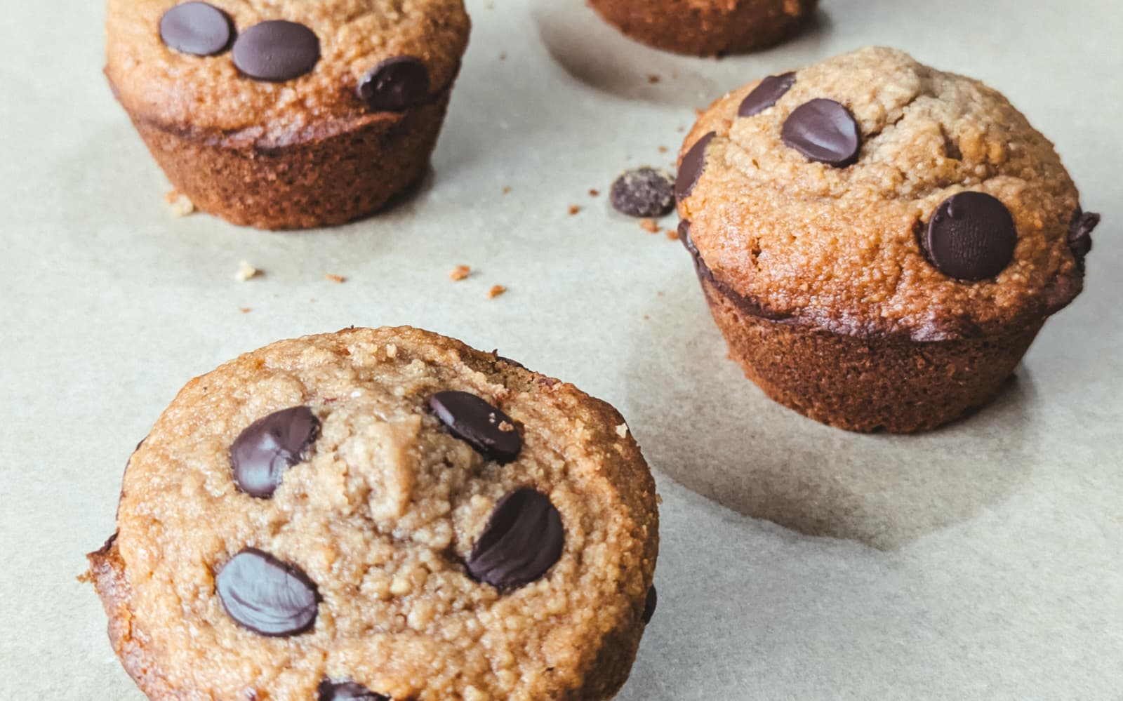 Healthy Organic Oat Flour Chocolate Chip Muffins